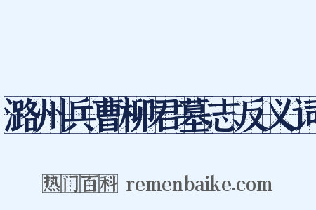 潞州兵曹柳君墓志反义词是什么意思的图片